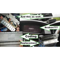 CODING BMW TELECARGAS 330D 530D M2 M3 M4 M5